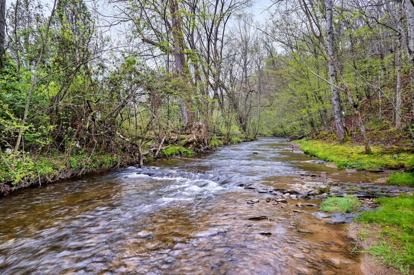 Willa 1 Mile To Pkwy, Pets, Hot Tub, Creekside, Porch Pigeon Forge Zewnętrze zdjęcie