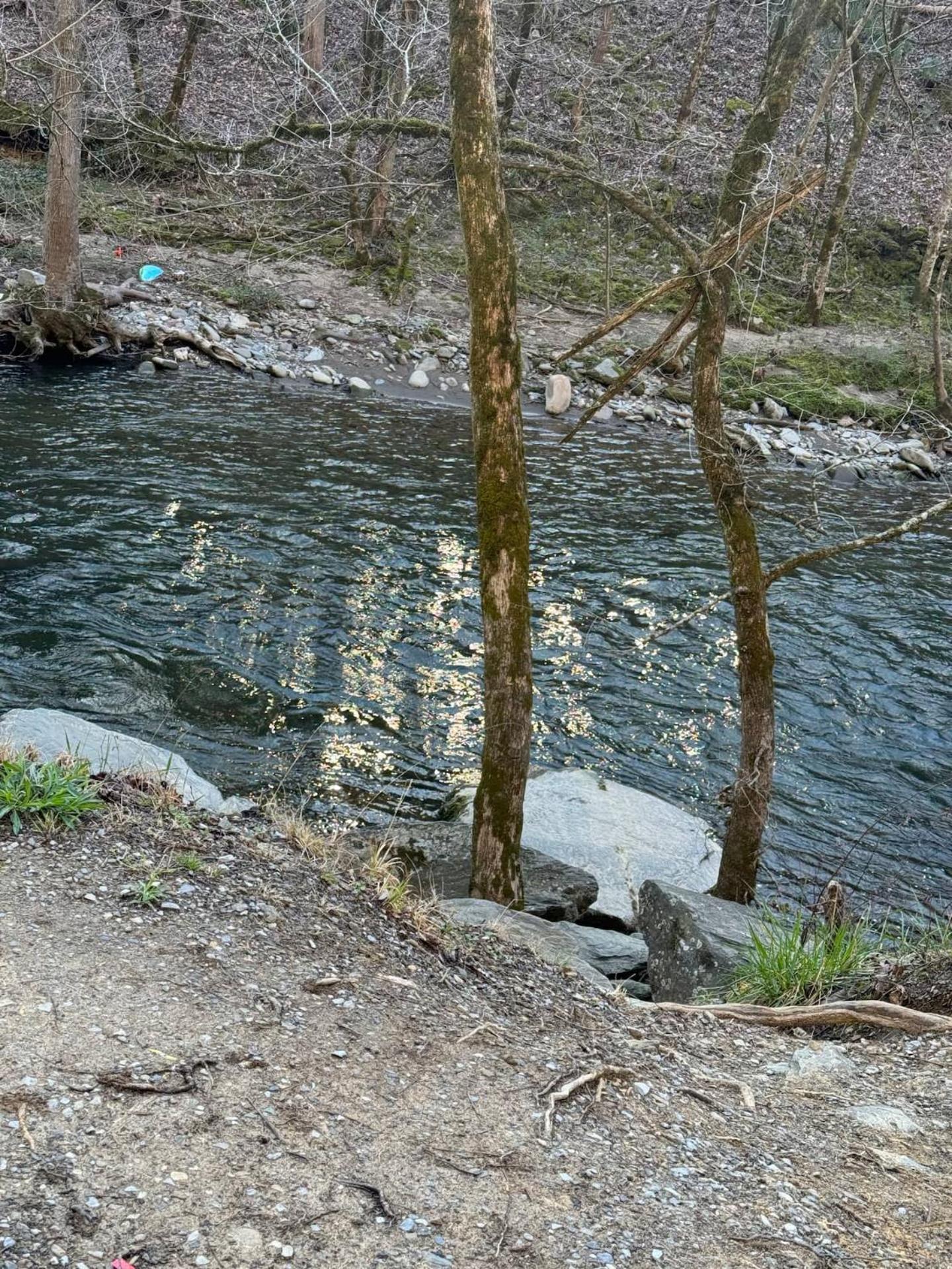 Willa 1 Mile To Pkwy, Pets, Hot Tub, Creekside, Porch Pigeon Forge Zewnętrze zdjęcie
